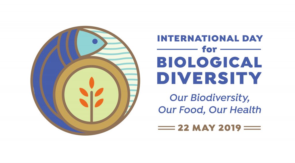 Intrenationaler Tag der Biodiversität 2019