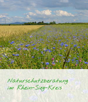 Naturschutzberatung Rhein-Sieg-Kreis