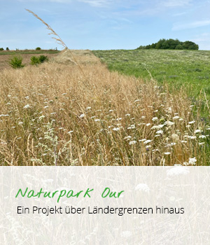 Beratung des Naturpark Our – Ein Projekt über Ländergrenzen hinaus